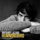 Hummingbird Single