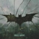Bruce Wayne Single