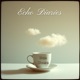 Echo Diaries