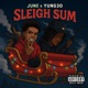 Sleigh Sum Single