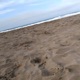 Praia Single