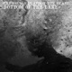 Bottom of the Lake feat Playboy the Beast Single