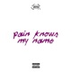 Pain Knows My Name feat Jxmes Single