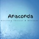 Anaconda feat Rhonnas Cardoso Hulitchi Decay Single