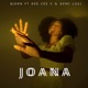 Joana feat Dee Cee V Demi Luzi Single