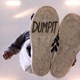 DUMPIT From 0 to 100 Version Single