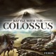 Battle with the Colossus