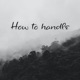 How to Handle