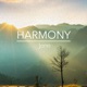 Harmony Single