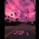 Nights feat Vita Single