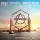 Right Now feat TRM Sam Feldt Radio Edit Single