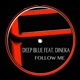 Follow Me feat Dineka Single
