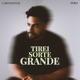 Tirei Sorte Grande Single