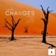 Changes Remixes