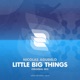 Little Big Things Single