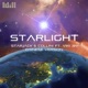 Starlight Chinese Version feat Viki Jin Single