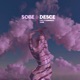 Sobe Desce Single