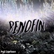 Renofin Single