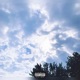 Delusions Illusions Single