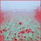 Mist Single