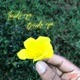 Inside You Beside You Single feat Mathieu Single