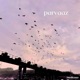 Parvaaz Single