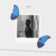 xo Single