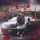 The Rose That Grew From Concrete