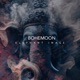 Elephant Image Single