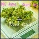 Weed Scale feat tack Up Single