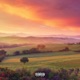 Bones P Single