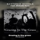 Grazing in the Grass feat Makeda Rose Single