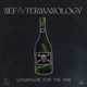 Champagne for the Pain Single