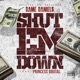 Shut Em Down Single