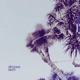 Moth FM Single