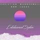 Entertainment System Instrumental Version Single