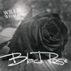 Black Rose Single
