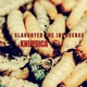 Slaughter the Innocence Nu Gabber Single