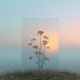 Aura Single