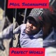 Perfect World feat Jey Single
