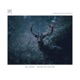 Sense of Sound Single
