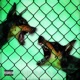 Treatthislikeahardcorerelease 2 EP