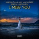 I Miss You Single