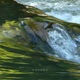 Asleep By the River EP