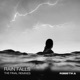 RAIN FALLS THE FINAL REMIXES feat Lisa Pure Single