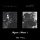 Require feat Todd Zack Jr Remix Single