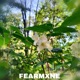 Flowers Single