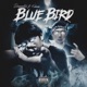 Blue Bird with Kobane Single
