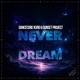 Never Ending Dream Single