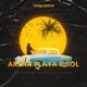 ARENA PLAYA SOL feat Austin Liccioni Single